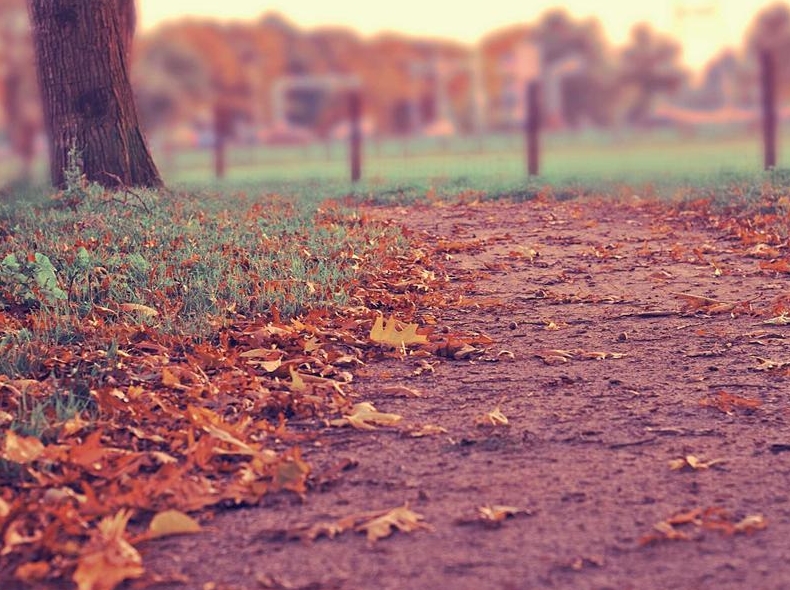 Telegram桌面版下载:Windows/Mac/Linux全平台指南