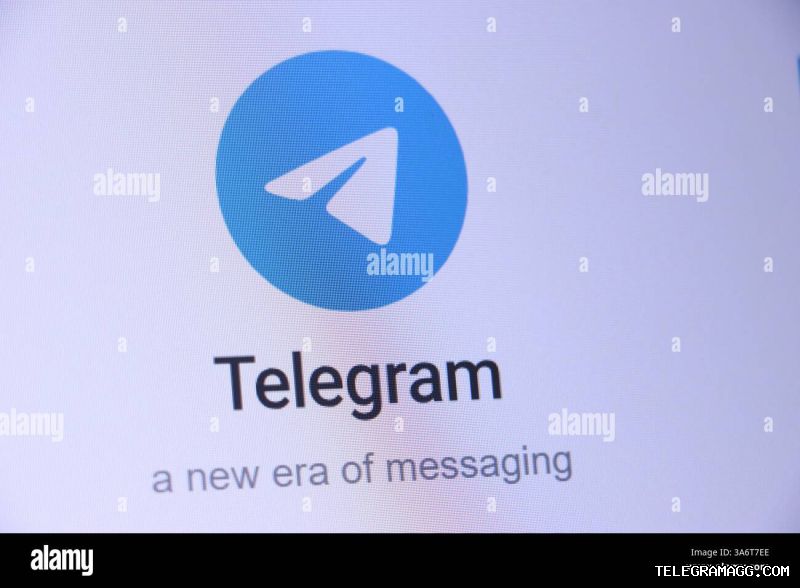 Telegram的文件夹和归档功能如何管理聊天记录